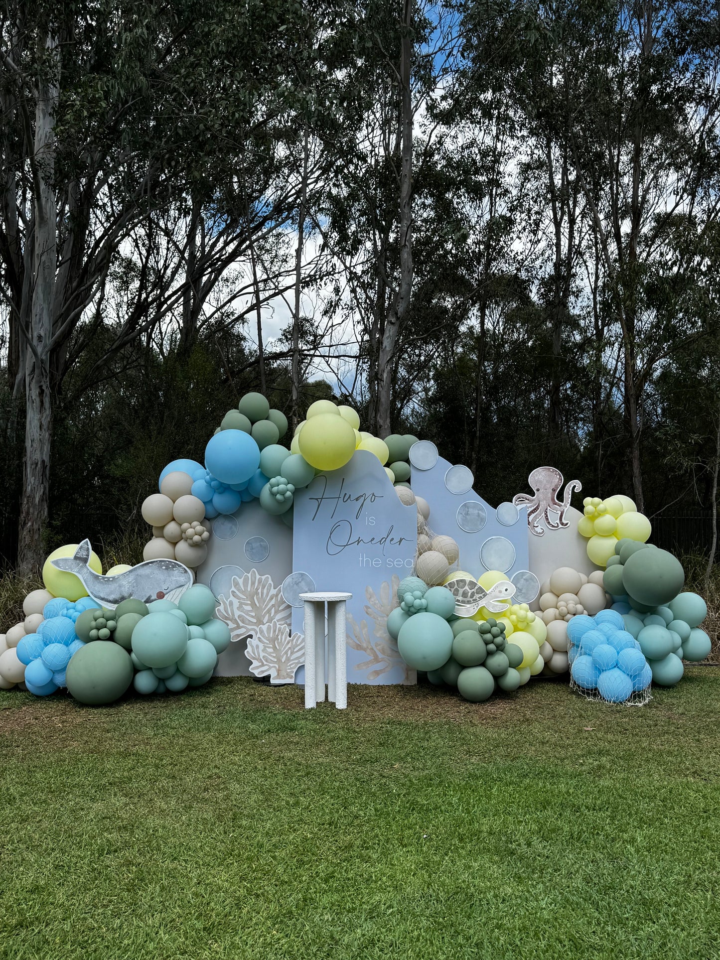 Custom Balloon Garland & Backdrop - Extra Large | Package