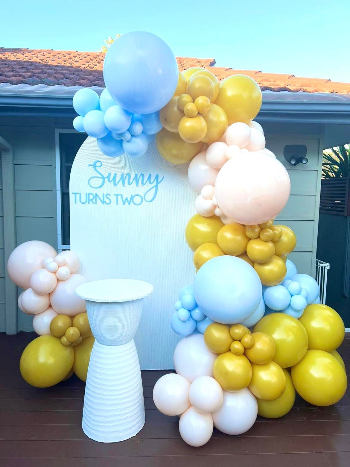 Balloon Backdrop Package